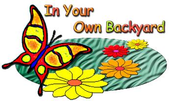 BACKYARDLOGO